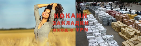 молекула духа Новодвинск