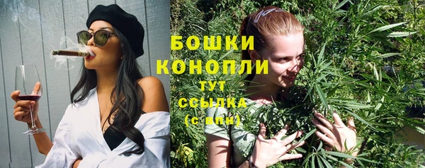 молекула духа Новозыбков