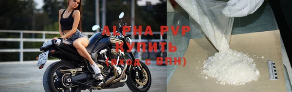 молекула духа Новодвинск
