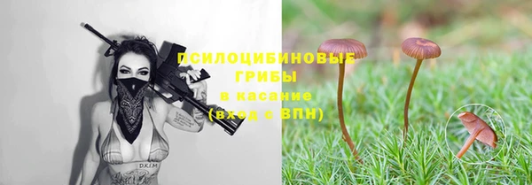 apvp Новокубанск