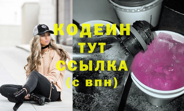 молекула духа Новозыбков