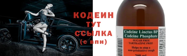 молекула духа Новодвинск