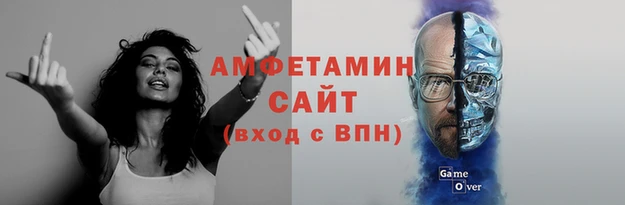молекула духа Новозыбков