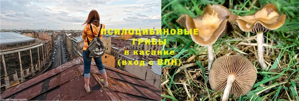 молекула духа Новодвинск