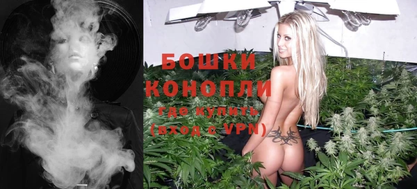 молекула духа Новозыбков