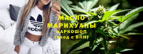 молекула духа Новозыбков