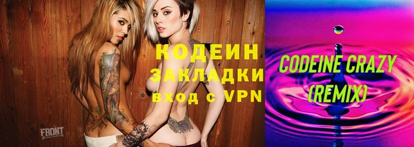 молекула духа Новозыбков