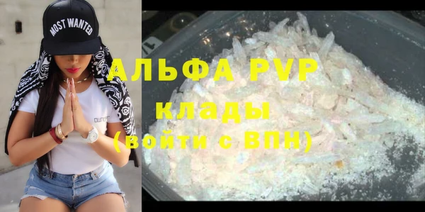 молекула духа Новозыбков