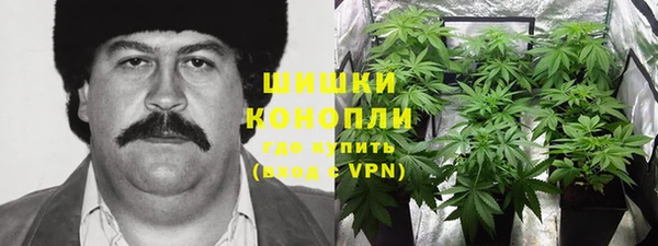 молекула духа Новозыбков