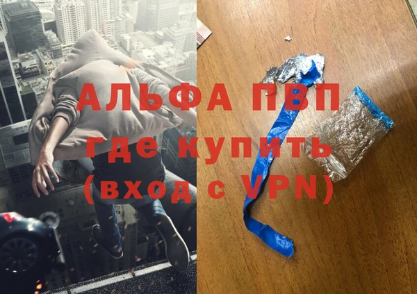 молекула духа Новозыбков