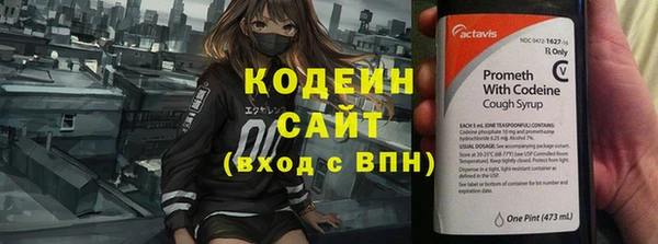 молекула духа Новодвинск