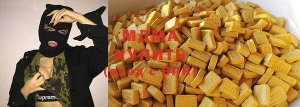 молекула духа Новозыбков