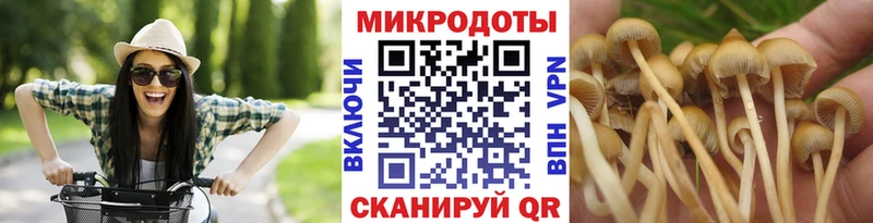 hydra маркетплейс  Рязань  Псилоцибиновые грибы Psilocybine cubensis 