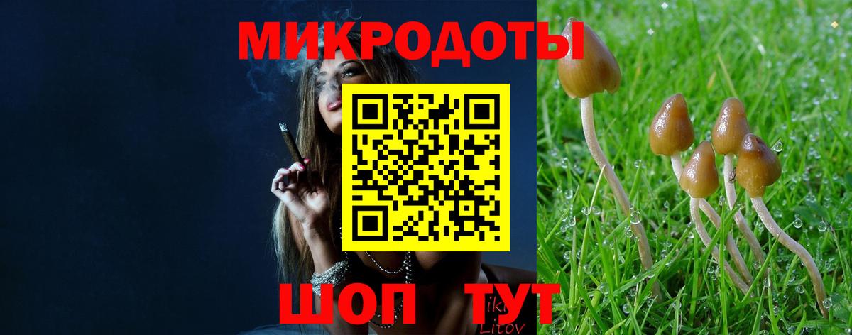 Псилоцибиновые грибы Cubensis  Галлюциногенные грибы Psilocybine cubensis  Рязань  Вход с VPN 