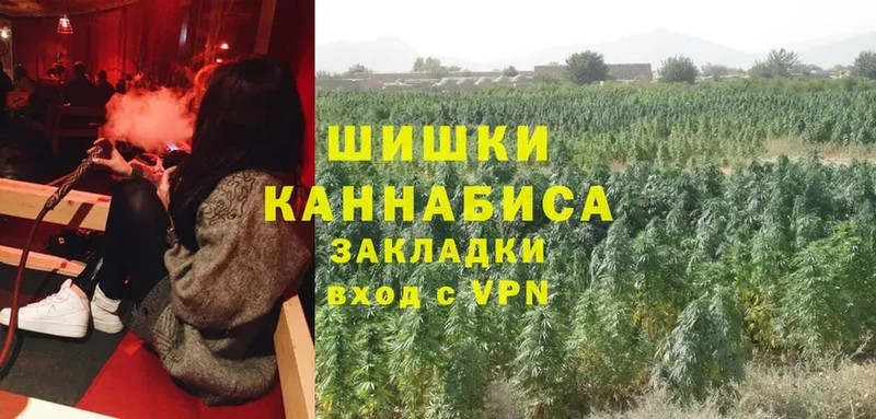 купить наркотики цена  Рязань  OMG ссылка  Канабис сатива 